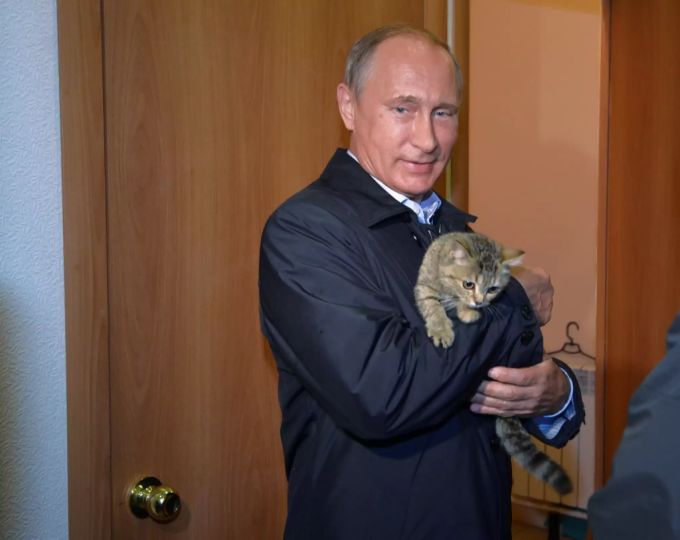 Vladimir Putin Ist Sexiest Man Russlands Nau Ch