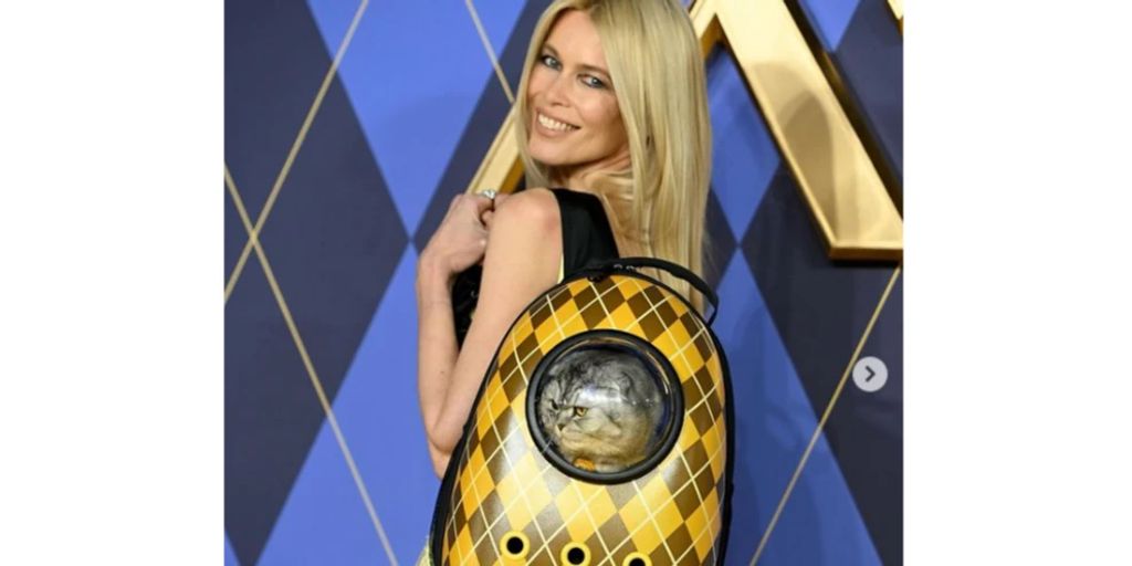 Claudia Schiffer Nimmt Katze Mit Auf Roten Teppich