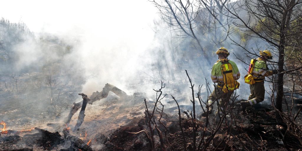 Waldbrände zerstören Tausende Hektar in Spanien und Portugal