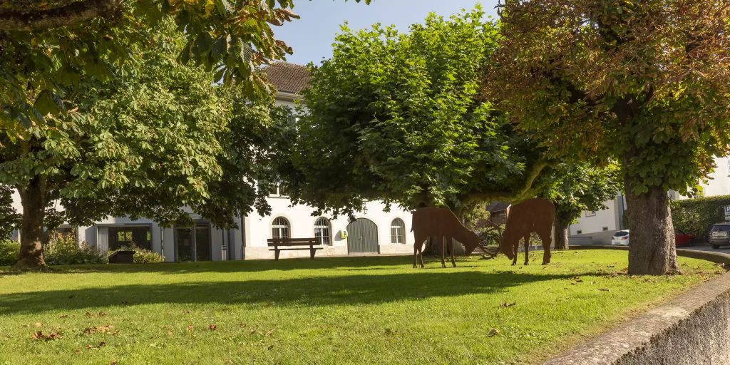 Spartageskarte Gemeinde Ab Auch In Rodersdorf