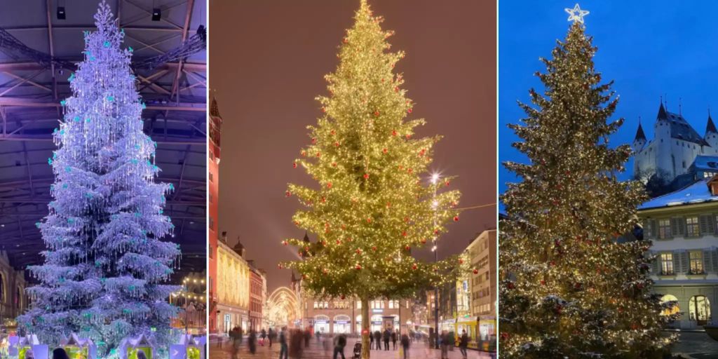 Der schönste Weihnachtsbaum der Schweiz Stimmen Sie jetzt ab