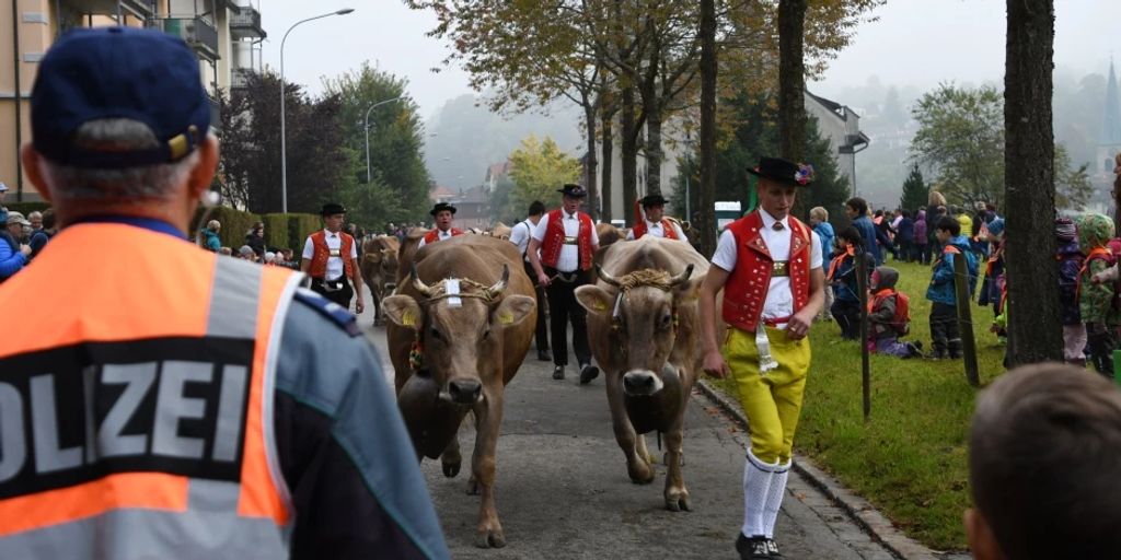 St Gallen Verkehrsbehinderungen Wegen Viehschau Ab 29 September