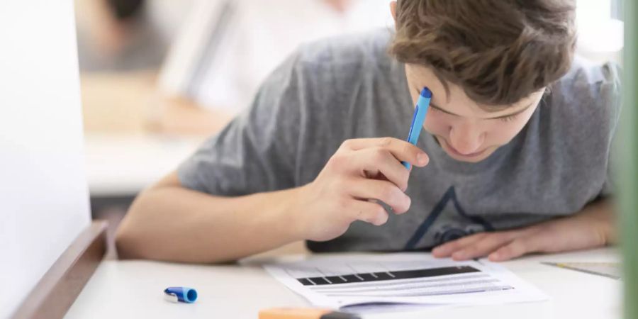 IQ Intelligenz Bildung