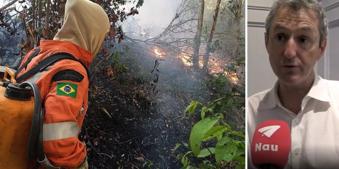 Brennpunkt Amazonas - Menschenrechtler: Feuer wurden absichtlich gelegt