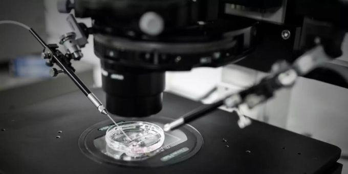 Auch bei Genesenen - Coronavirus in Sperma nachgewiesen