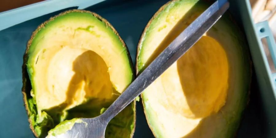 Im Jahr 2018 wurden rund 94.000 Tonnen Avocado nach Deutschland importiert. Foto: Sebastian Gollnow/dpa