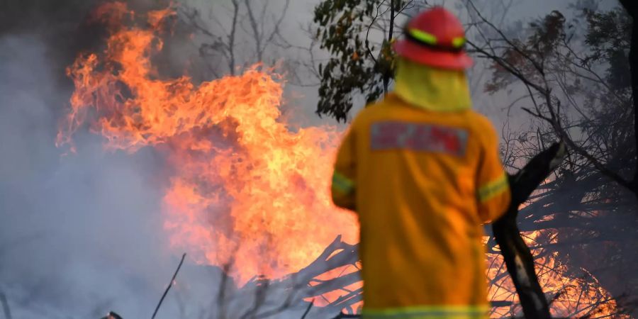 Buschfeuer