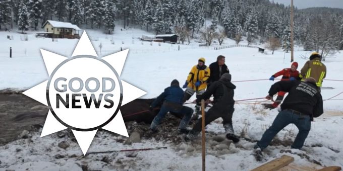 Good News - Vier Pferde von Feuerwehr aus vereistem Teich gerettet