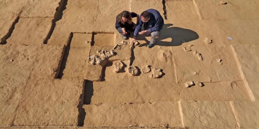 Insgesamt acht jahrtausendealte Strausseneier sind in der israelischen Negev-Wüste entdeckt worden. Forscher fanden die zerbrochenen Schalen der Eier bei Ausgrabungen neben einer antiken Feuerstelle.