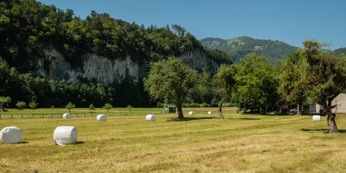 Landwirtschaft in Oberriet im Rheintal Kanton St. Gallen. rankweil