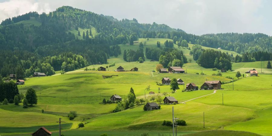 Toggenburger Landschaft bei Ebnat-Kappel.