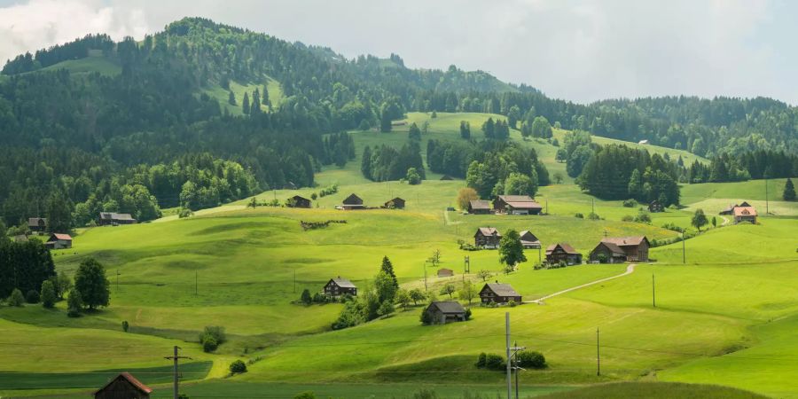 toggenburger wälder