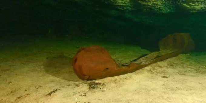 Das mehr als 1000 Jahre alte Kanu an seinem Fundort im Cenote. Foto: -/Nationales Institut für Anthropologie und Geschichte (INAH)/dpa Das mehr als 1000 Jahre alte Kanu an seinem Fundort im Cenote. Foto: -/Nationales Institut für Anthropologie und Geschichte (INAH)/dpa