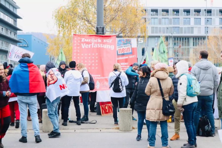 Die Massnahmen-Gegner wollen zurück zur Verfassung.