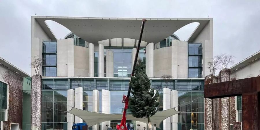 Es wird weihnachtlich: Mit Hilfe eines Tiefladers wird eine Colorado-Tanne am Bundeskanzleramt aufgestellt. Foto: Paul Zinken/dpa
