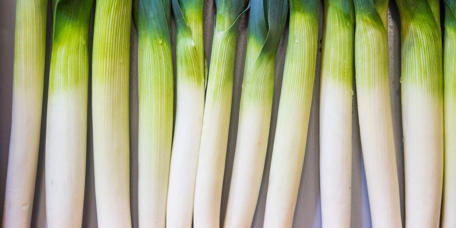 Porree ist das Jahr über ein treuer Begleiter - und er ist vielseitig.