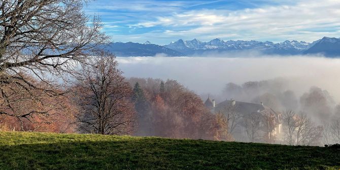 Wetter
