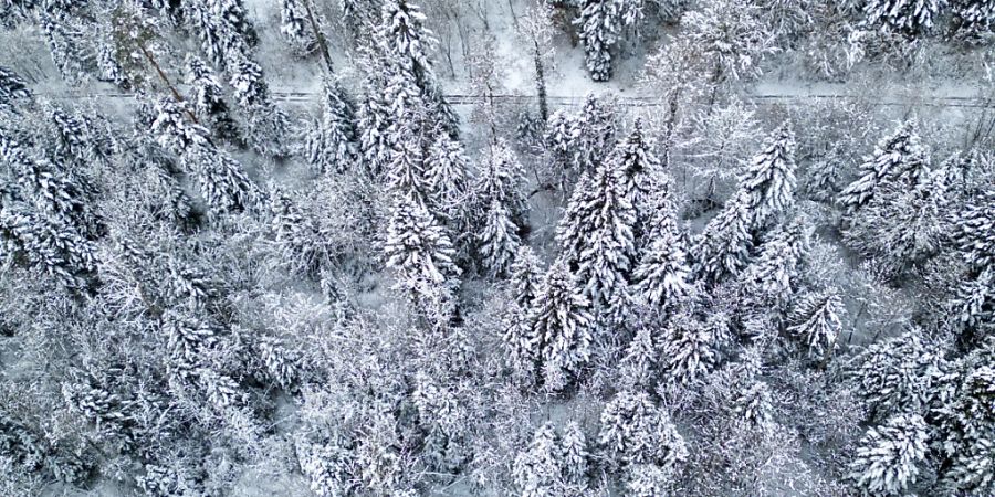 Die Naturgefahrenfachstelle des Bundes hat für das Wochenende vor erheblicher Gefahr durch Schnee im Alpenraum gewarnt. Zwischen Martigny VS und dem liechtensteinischen Vaduz wurde mit der Gefahrenstufe drei von fünf eine «erhebliche Gefahr» angegeben. (Archivbild)