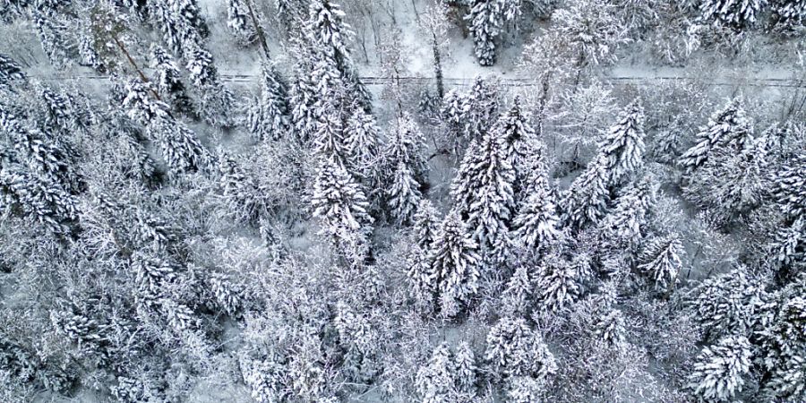 Am Samstag fällt vor allem an den Alpennordhängen weiterer Schnee. (Archivbild)