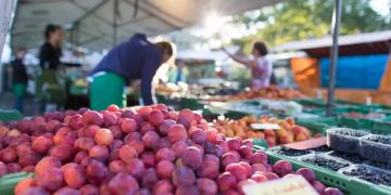 Markt Früchte