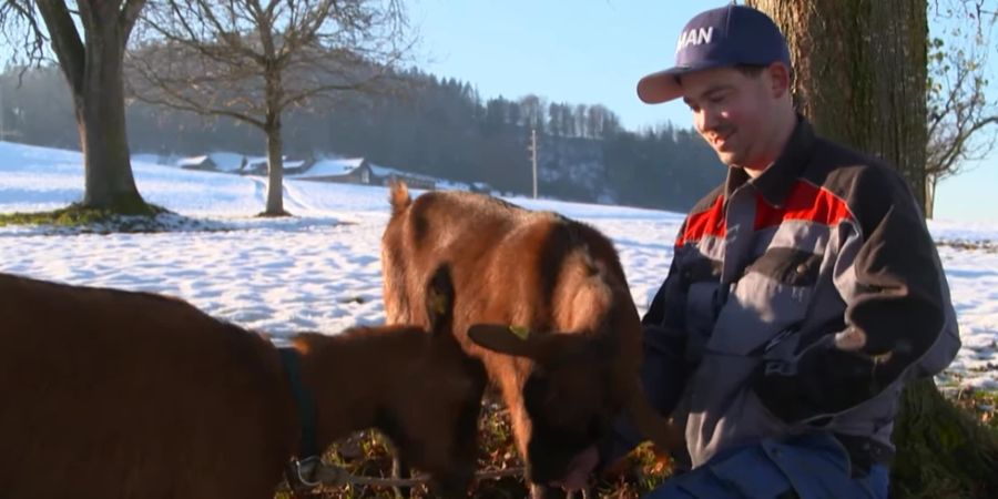 bauer, ledig, sucht?