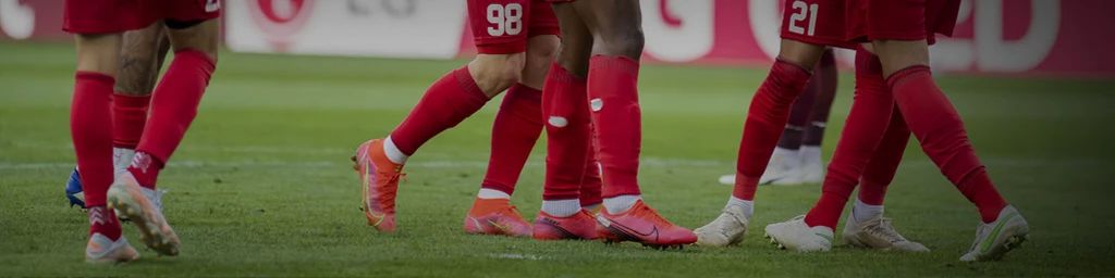 FC Sion