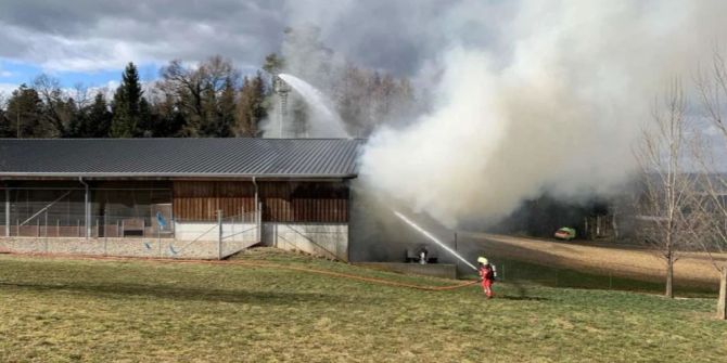 brand