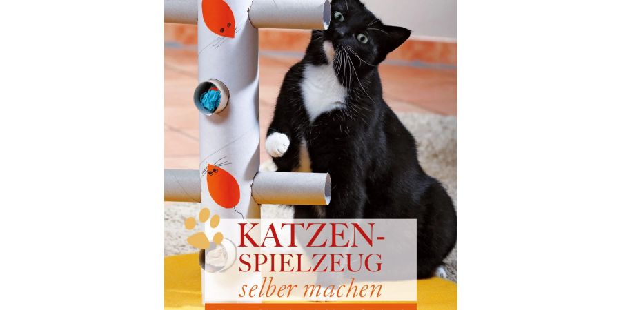 Marianne Keuthen: «Katzenspielzeug selber machen - Kreative Ideen für jede Menge Spielspass».