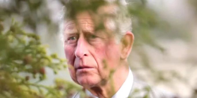 Palast schweigt - Experte glaubt: König Charles hat wohl Blasenkrebs