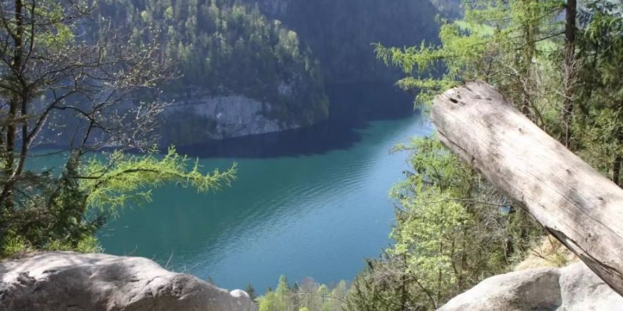 Die Gumpe am Königsbach-Wasserfall bei Schönau am Königssee ist für mindestens fünf Jahre gesperrt worden. Foto: Sabine Dobel/dpa