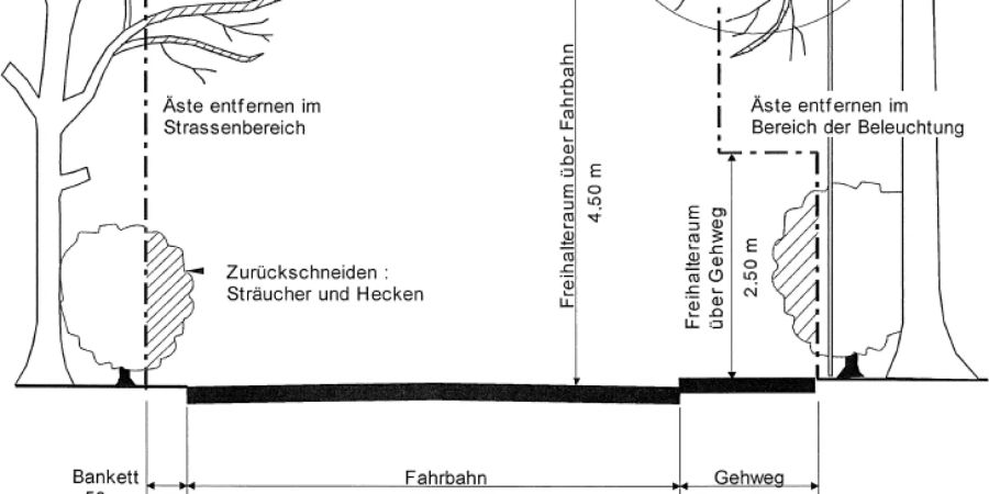 Meinisberg: B
