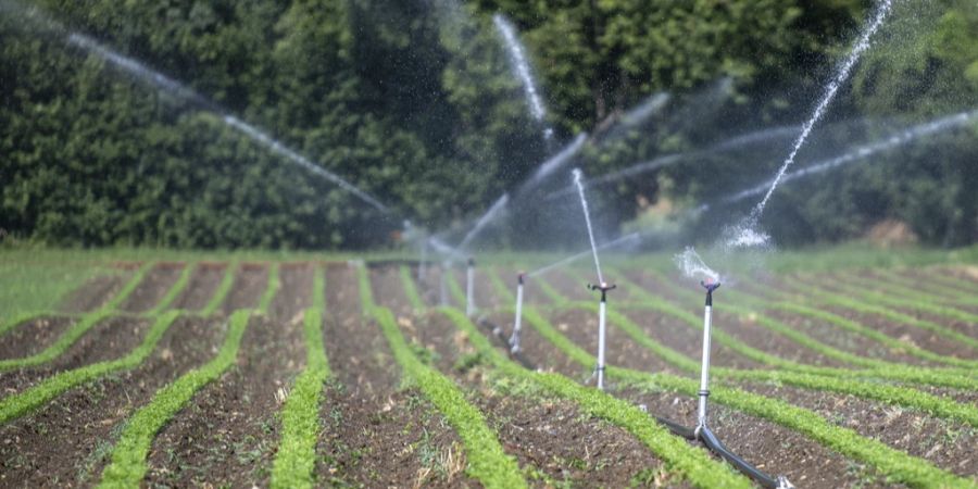 Landwirtschaft