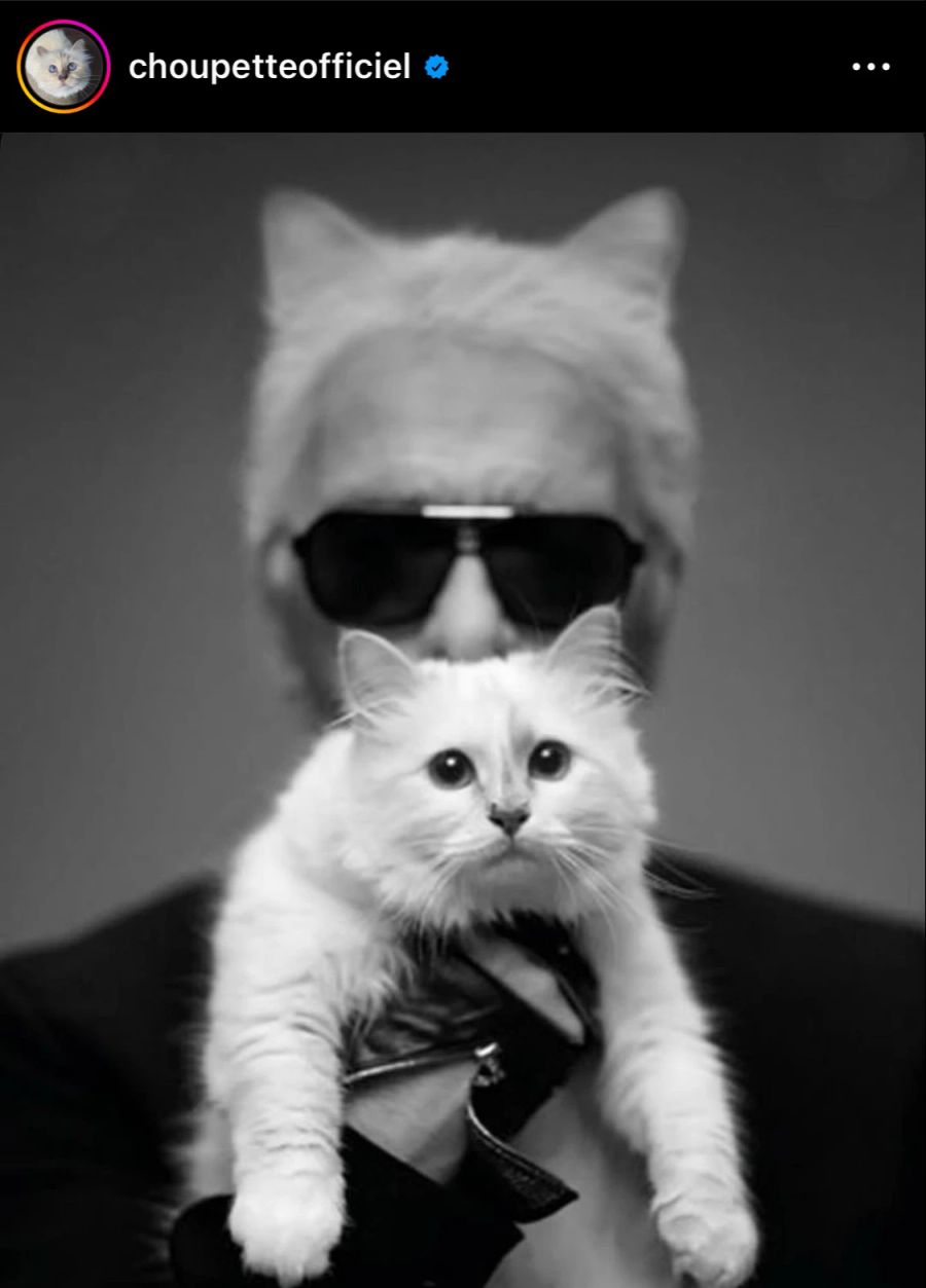 Choupette und Karl Lagerfeld