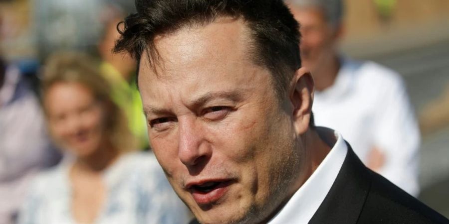 Geburtenrate ist eines von Elon Musks «Lieblingsthemen»