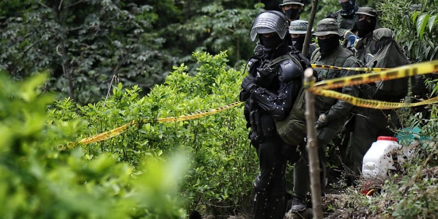 ARCHIV - Mitglieder einer Spezialeinheit nehmen an einem Einsatz zur Vernichtung von Koka-Plantagen teil. Foto: Álvaro Tavera/colprensa/dpa