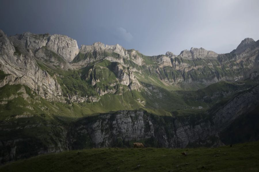 Auf dem Weg zum Alpsteg sind diesen Sommer unter anderem eine Frau und ihr Kind in die Tiefe gestürzt. (Archiv)