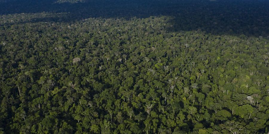 Tumucumaque-Nationalpark