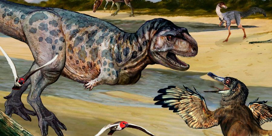 Eine undatierte Zeichnung einer bislang unbekannten Dinosaurier-Art (l.), die im Süden von Argentinien entdeckt wurde.