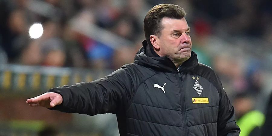 Dieter Hecking Borussia Mönchengladbach