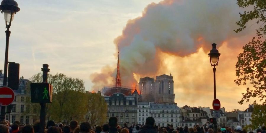 Imker von Notre-Dame freut sich über Bienen-Wunder