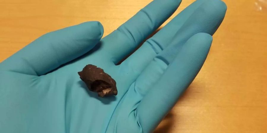 Forscher der Universität Stockholm sind bei der Analyse von rund 10.000 Jahre alten Kaugummis, auf menschliche DNA gestossen. Natalija Kashuba/Stockholm University Foto: Natalija Kashuba