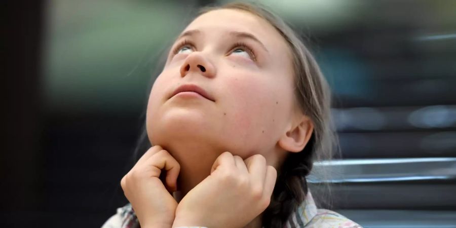 Greta Thunberg Geschichte