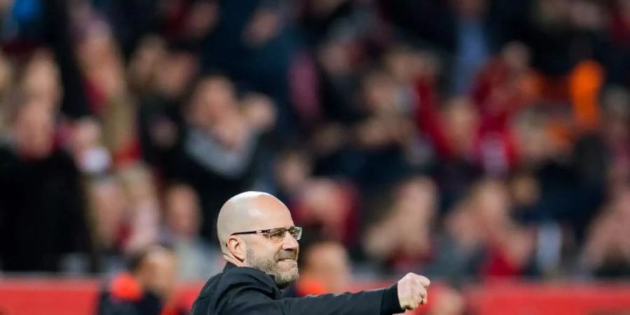 Leverkusens Trainer Peter Bosz ist mit seinem Team auf Europa-Kurs. Foto: Rolf Vennenbernd