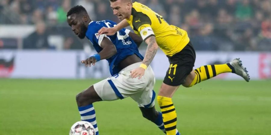 Im Derby zwischen Schalke und Borussia Dortmund ist immer Brisanz. Foto: Bernd Thissen/dpa