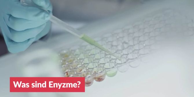 Was sind Enzyme?