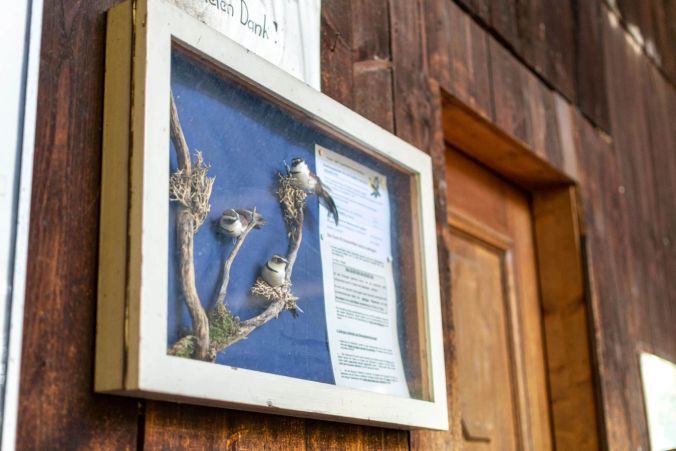 Ein paar Vögel dürfen beim Natur- und Vogelschutzverein nicht fehlen.