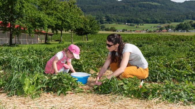 Hier hat's noch Erdbeeren, Mami.