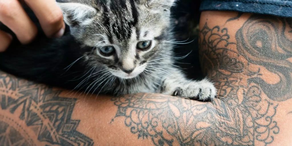 So bleiben Ihre Tattoos lange schön