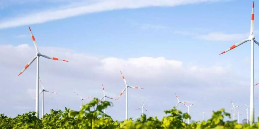 Viel Wind und Sonnenschein haben den Ökostrom auf ein Rekordhoch getrieben. Foto: Julian Stratenschulte/dpa