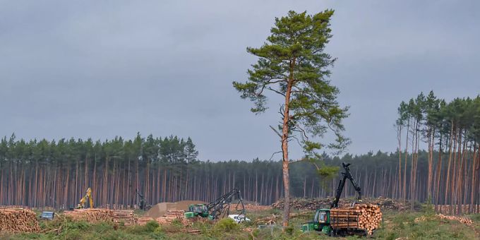 Fabrik in Deutschland - Tesla reicht geänderten Genehmigungsantrag ein